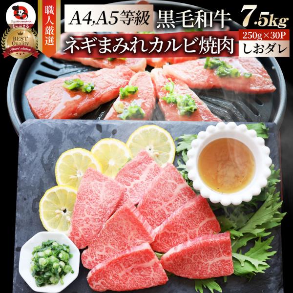 A4,A5等級 特選 黒毛和牛 カルビ焼肉 7.5kg ねぎまみれ 旨塩ダレ（ A4 ～ A5等級 ）牛肉 肉 お歳暮 クリスマス ギフト 食品 お祝い 霜降り 贅沢 黒毛