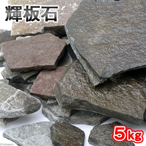 形状お任せ　輝板石　サイズミックス　５ｋｇ　国産品　４５ｃｍ水槽向け　アクアリウム　レイアウト素材　ＣＲＣ21―20―70―20―00 4,747円