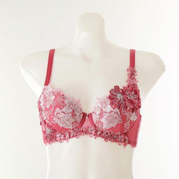サルート きらめく刺繍の上にフラワーモチーフのブラジャーCカップ (DBR0467C)