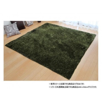 ソフトシャギー調ラグ 「ラルジュ」 3畳 グリーン 約200×250cm 1280200121303