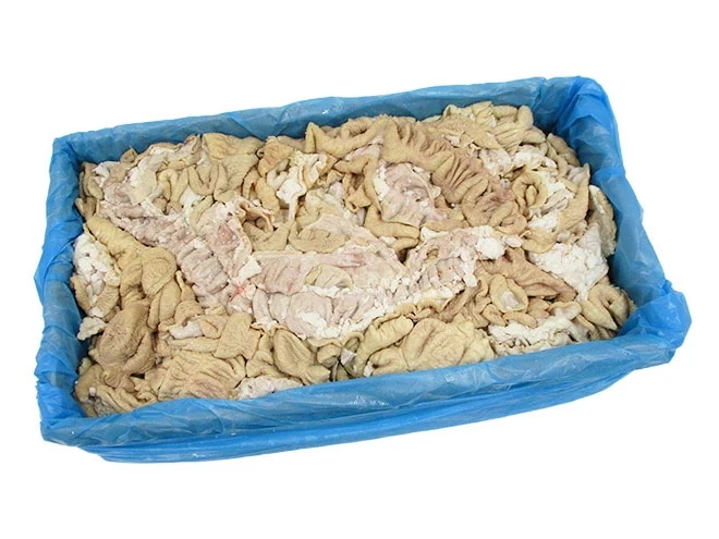 国産 =豚大腸（シロ）ボイル= 約10kg 未カット
