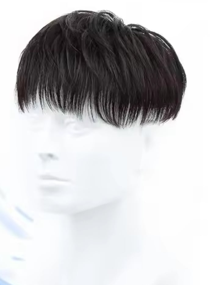 メンズ 頭頂部 薄毛カバー 部分ウィッグ 16x18cm