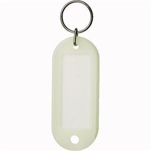 （まとめ）光るキーホルダー名札 両面表示 蓄光タイプ SG-296 1パック（5個） [x15]