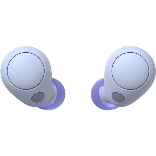 ソニー WF-C700N-VZ 完全ワイヤレス　Bluetoothイヤホン(ラベンダー) WFC700NVZ