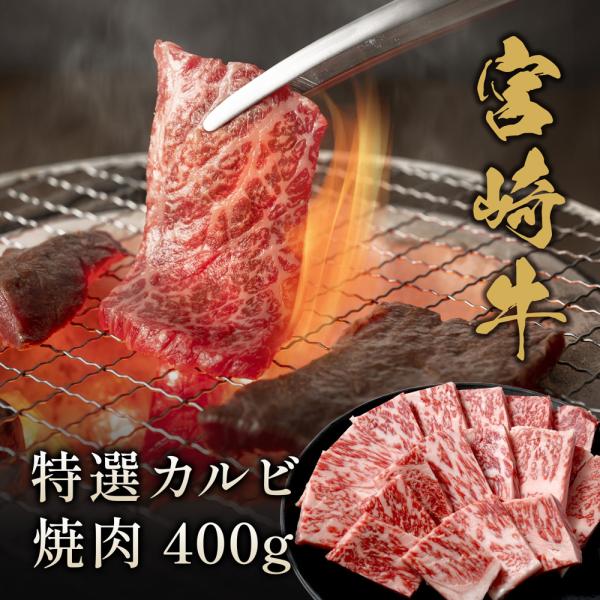 宮崎牛 特選カルビ 焼肉 400g / 牛肉 ギフト
