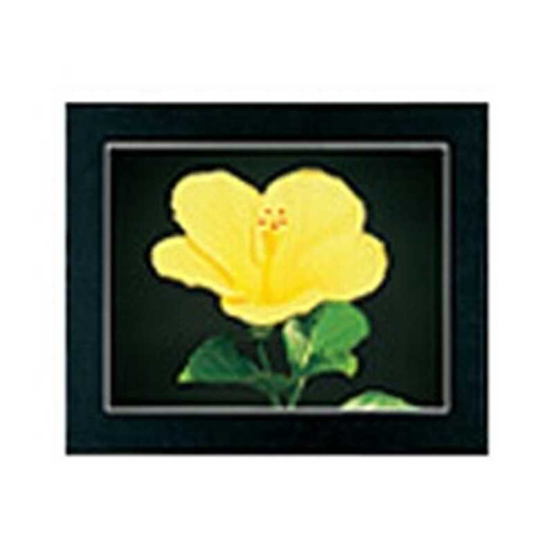 フジカラー　マットパネルDX (全紙) ブラック　マットパネルDX