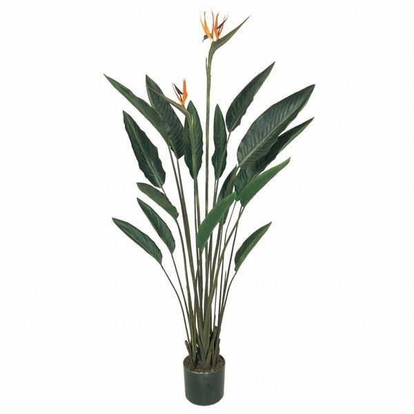 FG007416 造花 ストレチアプラント メーカー直送