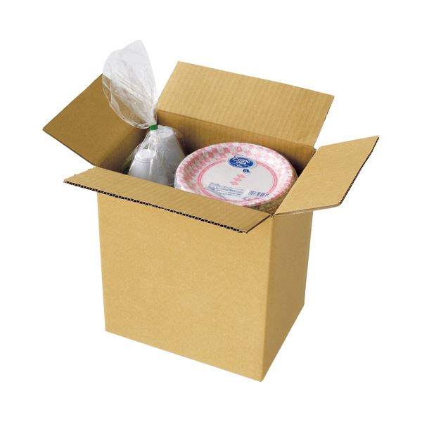 TANOSEE 宅配用ダンボール箱 80-B5 1セット（60枚：20枚x3パック）