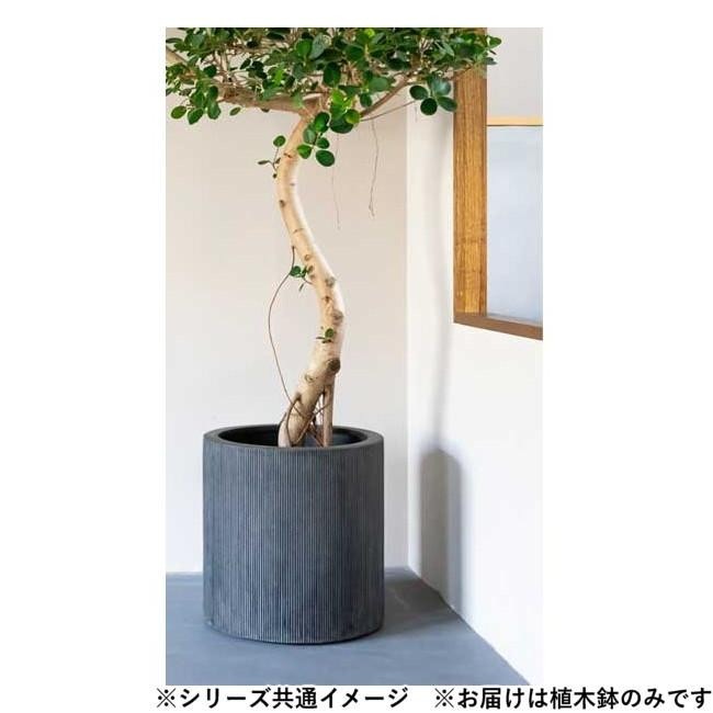 グリーンポット 植木鉢 エンバス シリンダー ブラック 40cm EB-EC4040BK