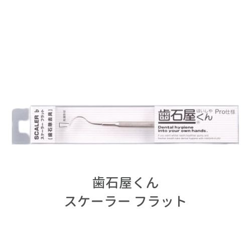 歯石屋くん スケーラー フラット【2個セット】 歯と歯ぐきの健康は自宅ケアで オーラルケア 歯石 歯垢取り ヤニ 黄ばみ 除去 虫歯 むし歯 歯間 オールステンレス 器具 日本製 マインドアップ