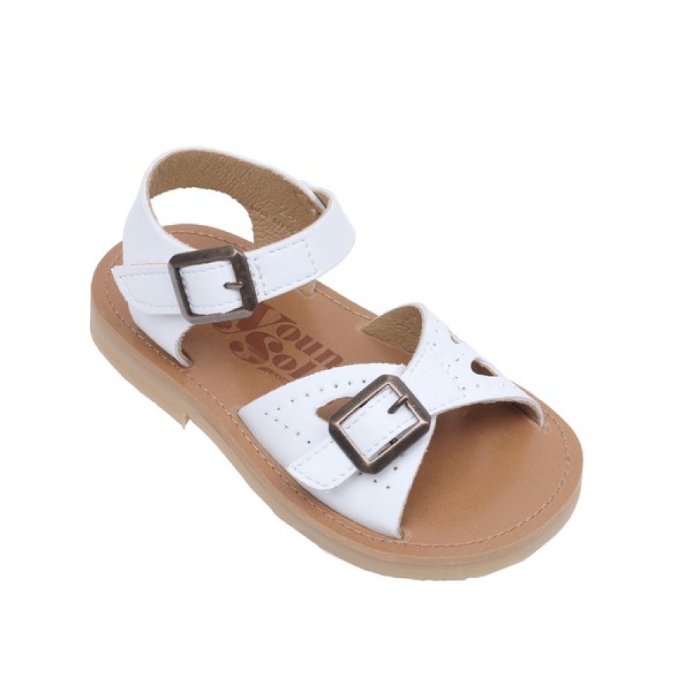 (トップボックス) ヤングソルパール TD ホワイト YSKCC2TSPE11WHT