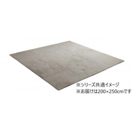 ラグマット 約3畳 「ラピアス」 200×250cm PGY パールグレー 1280311131303