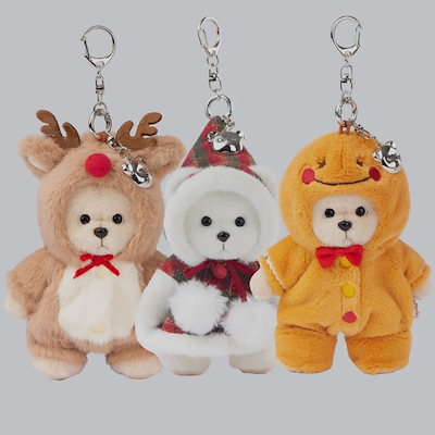 Agave parryi 'J.C.'s Shadow' 【公式通販】