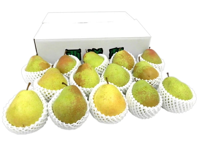 =フレミッシュ ビューティー= 秀品 12-16玉前後 約5kg 産地厳選 洋梨 予約 9月末以降