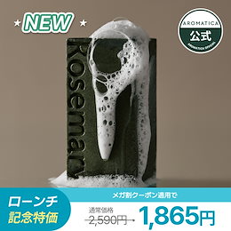 CA クリーンアート　パック　2種類 CA クリーンアートパック2種類