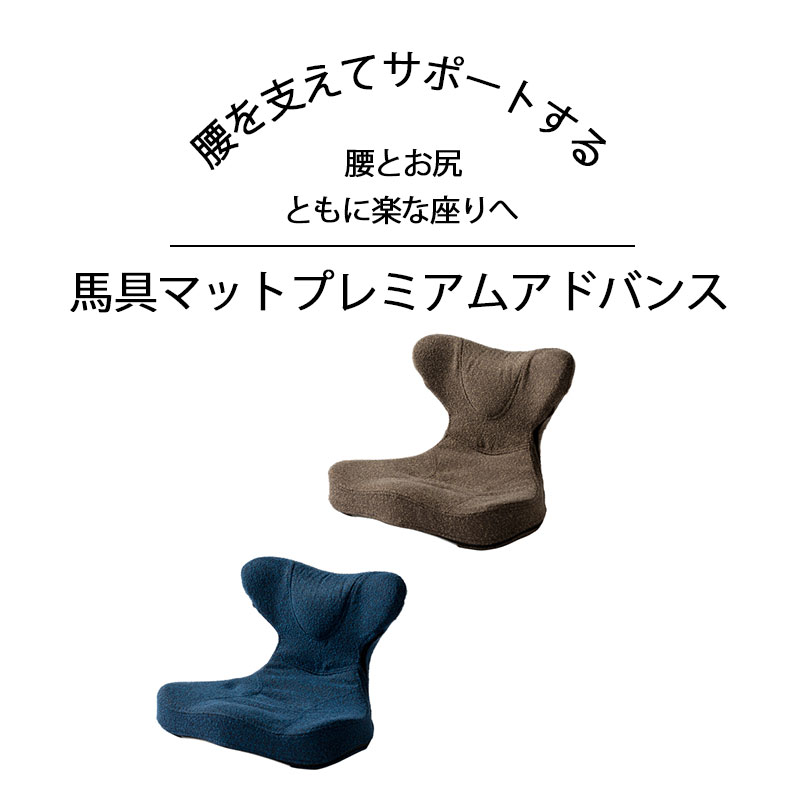 座椅子 椅子 骨盤クッション 猫背 イス 在宅 チェア 姿勢 腰痛 勢 腰痛 肩甲骨 骨盤矯正 美バランス 猫背 いす クッション オフィス 腰痛対策 骨盤クッション 馬具マットプレミアムアドバンス