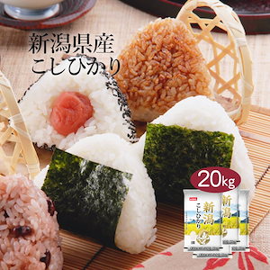 米 新潟県産 こしひかり 20kg 5kg 4セット 令和6年産 お米 こめ 20キロ 安い おこめ 白米 国産 食品 ギフト 引っ越し 挨拶 内祝い お歳暮 送料無料 おくさま印