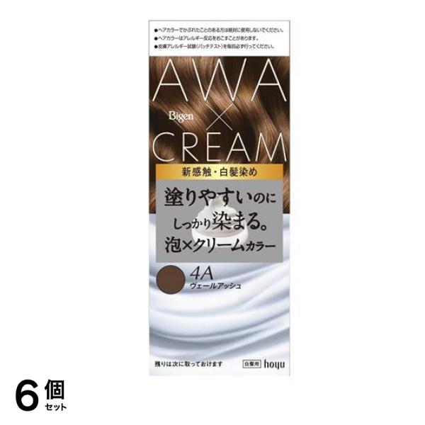 泡クリームカラー 白髪用 4Aヴェールアッシュ 1組入 6個セット