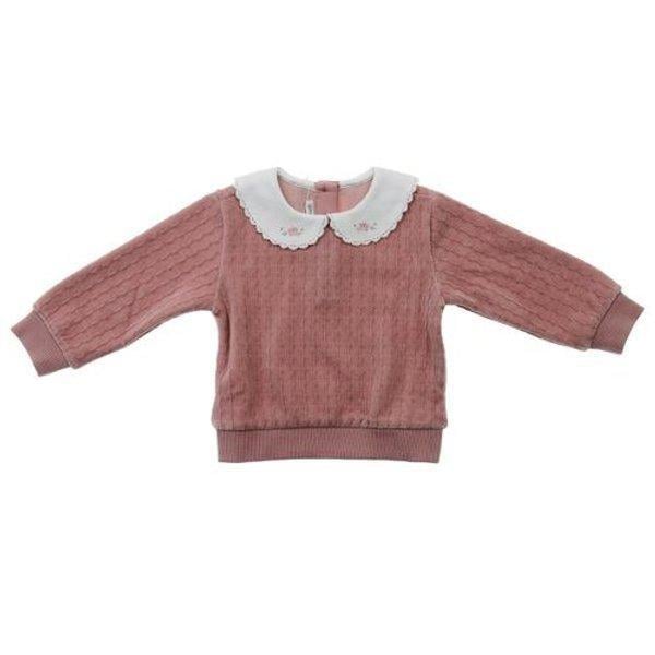 01S731055 シャーロットカラーTシャツ