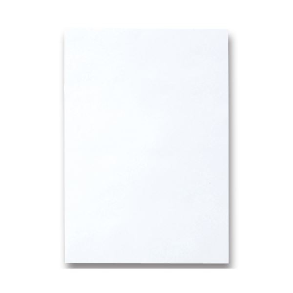 (まとめ) TANOSEE 色画用紙 四つ切 ゆき 1パック（10枚） (×30セット)