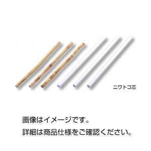 （まとめ）ニワトコ芯（ピス）10本発泡ポリスチレン(×10セット)