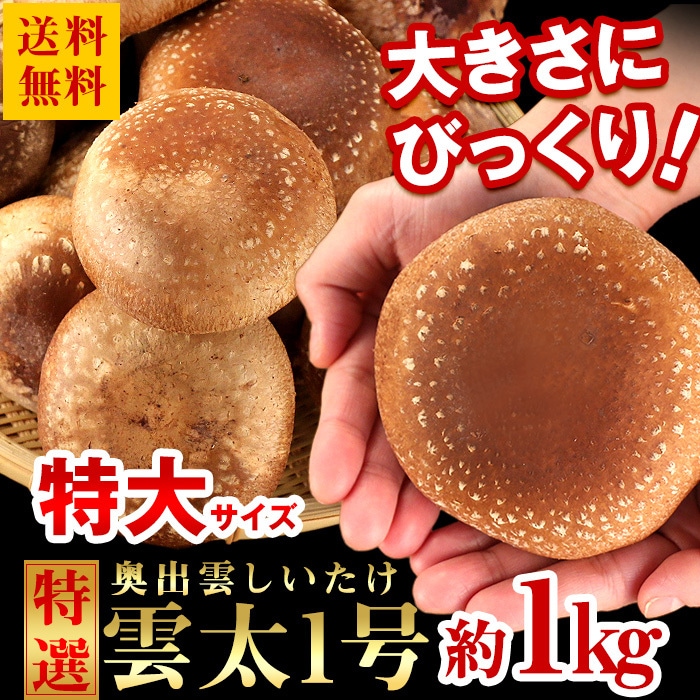 Qoo10] 送料無料 島根県産 しいたけ 特大サイズ : 食品