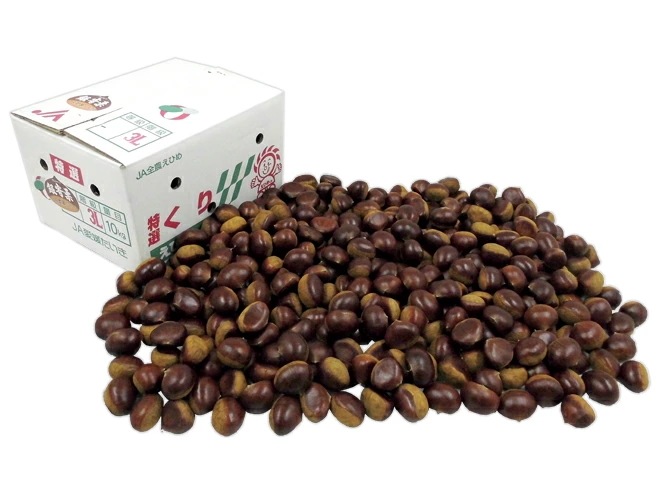 愛媛県 JAたいき =銀寄栗= 秀品 超大粒3L 約10kg 予約 10月以降 28,656円