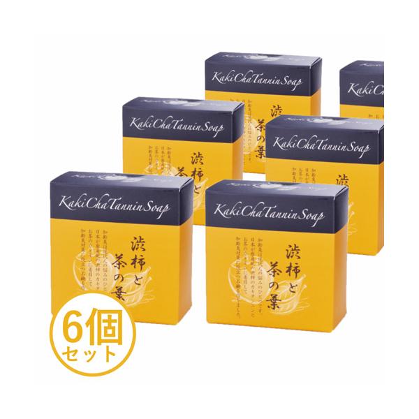 加齢臭を消す 石鹸 ボディソープ 6個 体臭 加齢臭 対策 男性 女性 / カキチャタンニンソープ 100g