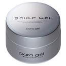 para gel　パラジェル　スカルプジェル　２５ｇ