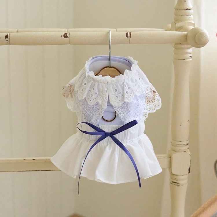 BELLE HARNESS ベルハーネス　ブルー　XS-XL