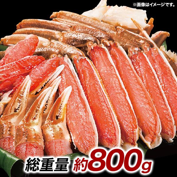 ズワイガニ 蟹 贅沢大型生本ズワイ刺身・鍋セット 総重量:約800g(正味600g) カニ刺し カニ鍋 生食可能