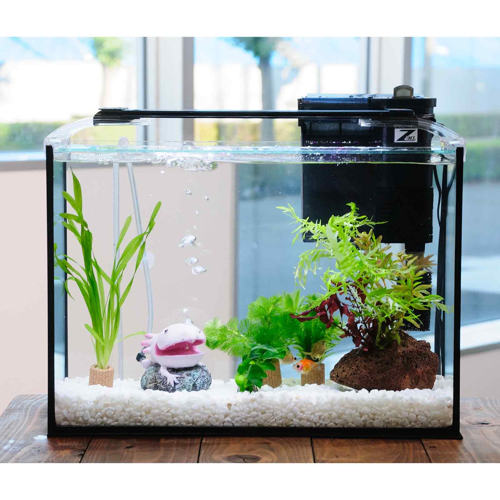 （国産金魚）（水草）簡単ピンポンパール飼育水草レイアウトセット　４０ｃｍ水槽　ウーパールーパーｖｅｒ．　本州四国限定　ＣＲＣ10―11―03―30―20