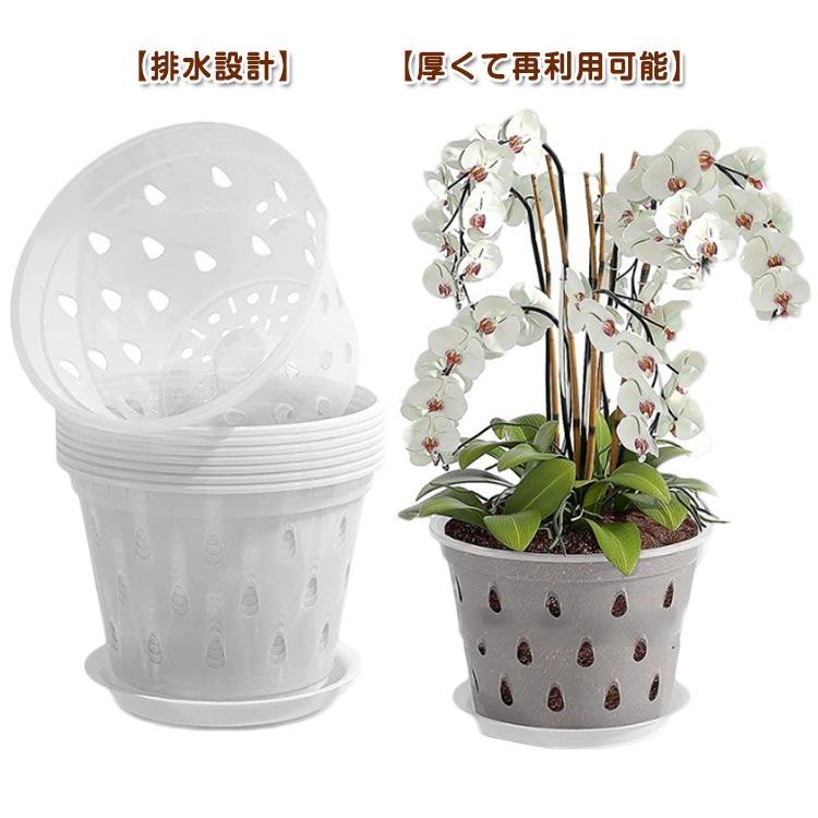 10セット！プラスチック 蘭の鉢 観葉植物 オーキッドポット 洋蘭 直径12.5cm 直径15cm 直径17.2cm 直径11cm 透明 多肉植物 ト