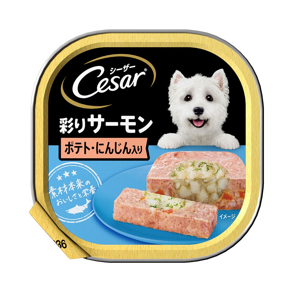 シーザー　彩りサーモン　ポテトとにんじん入り　１００ｇX２４個　ドッグフード　ＣＲＣ45―08―45―20―00