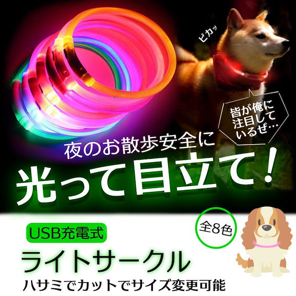 Qoo10] 【2024限定SALE】光る首輪 犬用