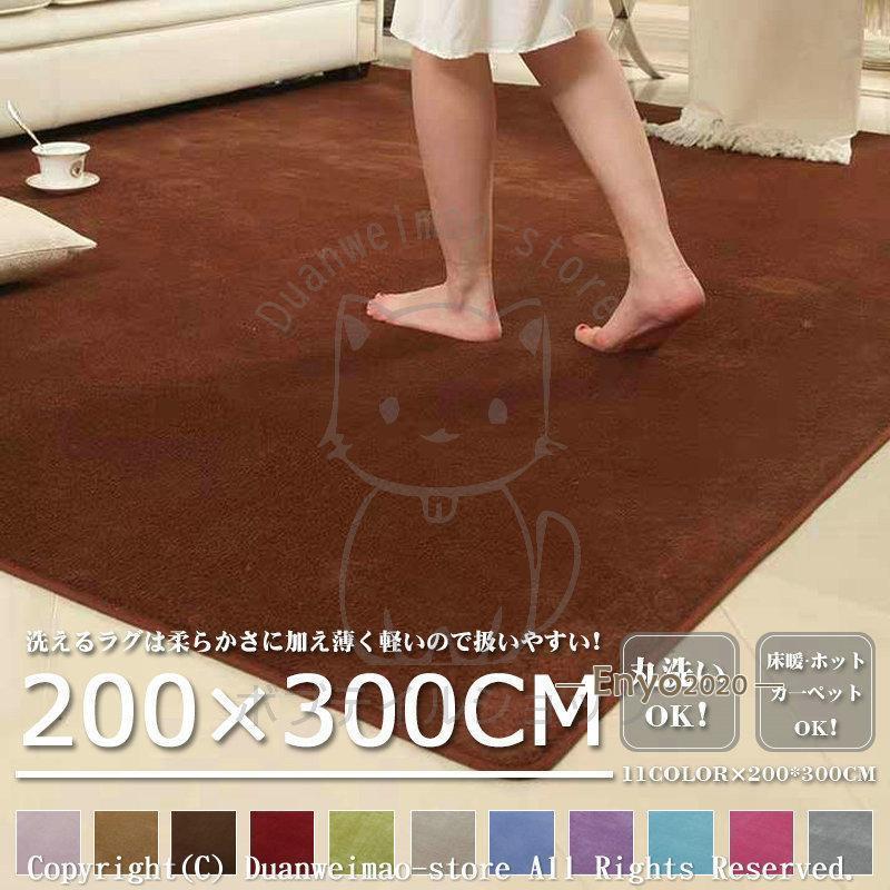 ラグ カーペット オールシーズン 200×300 絨毯 ラグマット 洗える 約3.6畳 ホットカーペット 長方形 滑り止め付き 夏用 冬用 大判 床暖房 冷房対応 おしゃれ