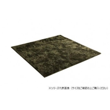 ラグ 制菌加工 約3畳 約200×250cm ホットカーペット対応 グリーン 3985179
