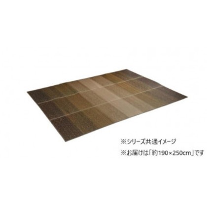 カーペット 日本製 KOBA-GUARD 抗菌防臭 約190×250cm ブラウン 1070480064203