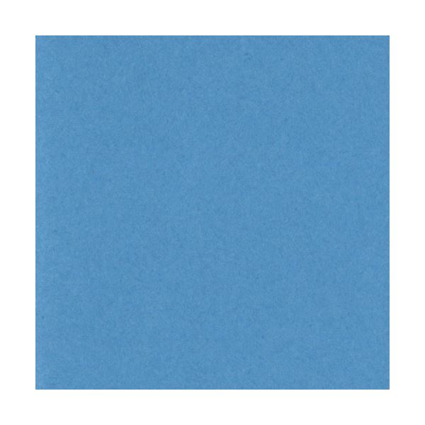 リンテック ニューカラーR 四つ切 そらいろ 4NCR-250 100枚 4,824円