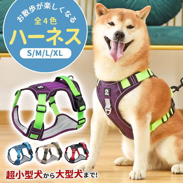 ストア 大型 犬 ハーネス かわいい