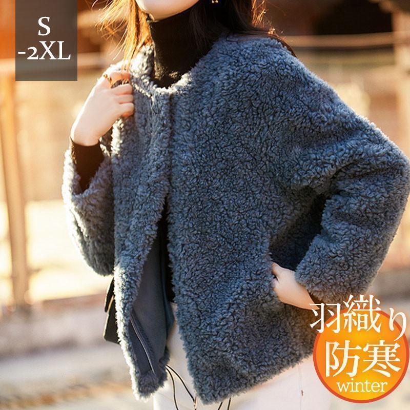 【急速出荷 2025年新作】フリースジャケット レディース ボアジャケット きれいめ ブルゾン トップス 無地 羽織り カジュアル 保温 ゆったり 着痩せ コーデ エレガント