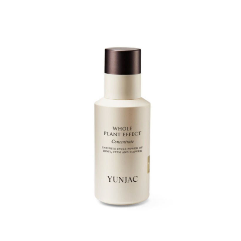 [プレミアムうるツヤ] 全草 コンセントレート 40ml / 美容液 エッセンス 水分 バリア ハリ 肌キメ 導入液 スキンケア 韓国コスメ