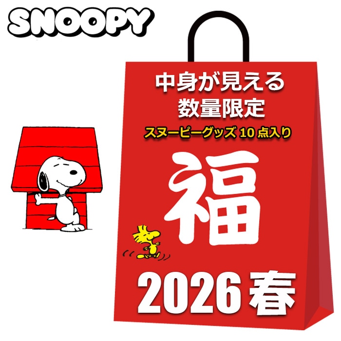 スヌーピー 福袋 2026 中身が見える グッズ 10点入り ぬいぐるみ 水筒 保冷 バッグ アームカバー マグカップ 弁当箱 ペットボトルホルダー 巾着 ソックス レディース まとめ売り