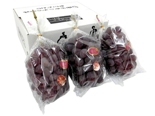 岡山産 =紫苑ぶどう= 秀品 大房 3房 約2kg以上 予約 10月下旬以降