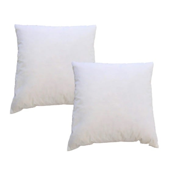 (2個セット) シンプル 羽根クッション中材 (ベージュ 幅50cm) 正方形 スモールフェザー100％ 日本製 (リビング 寝室) 4,850円