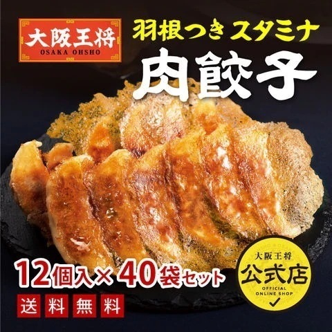 羽根つきスタミナ肉餃子12個入り40袋（20袋ずつ2ケース）【同梱不可】