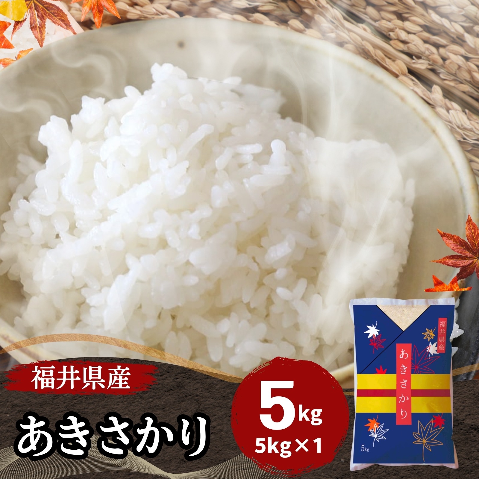 【数量限定】福井県産あきさかり5kg 白米 令和6年産