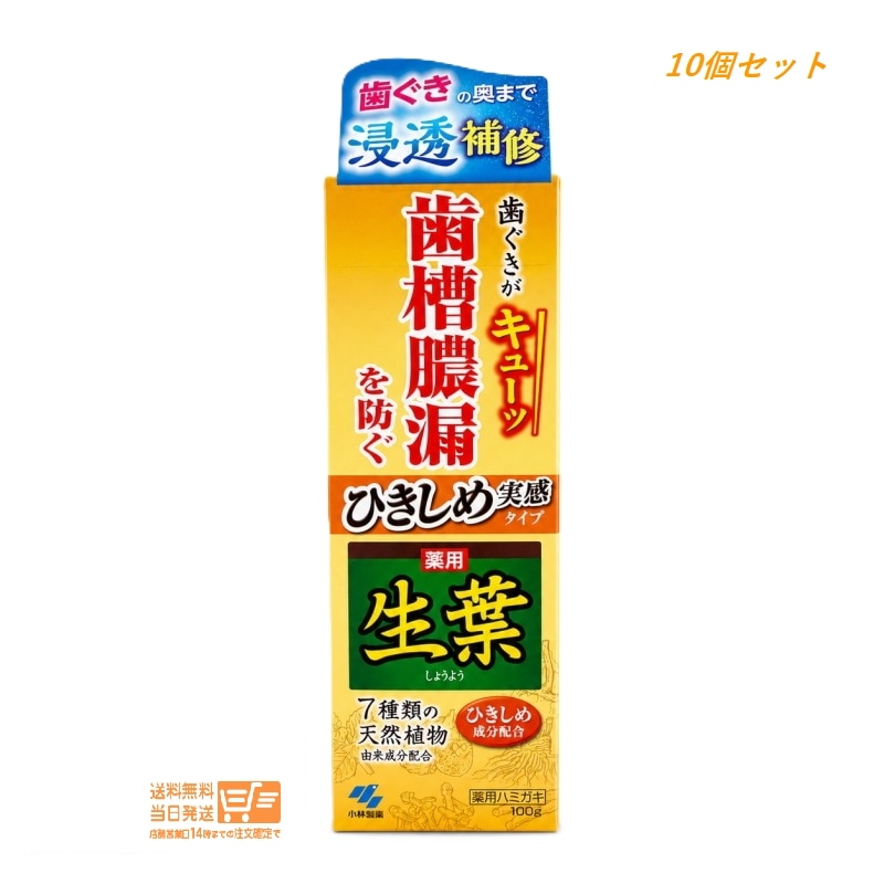 10個セット ひきしめ生葉 100g 歯磨き粉 歯周病 口臭予防ハミガキ オーラルケア