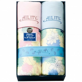 東レ/抗菌防臭わた入肌掛布団2枚セット A2315 9315-068