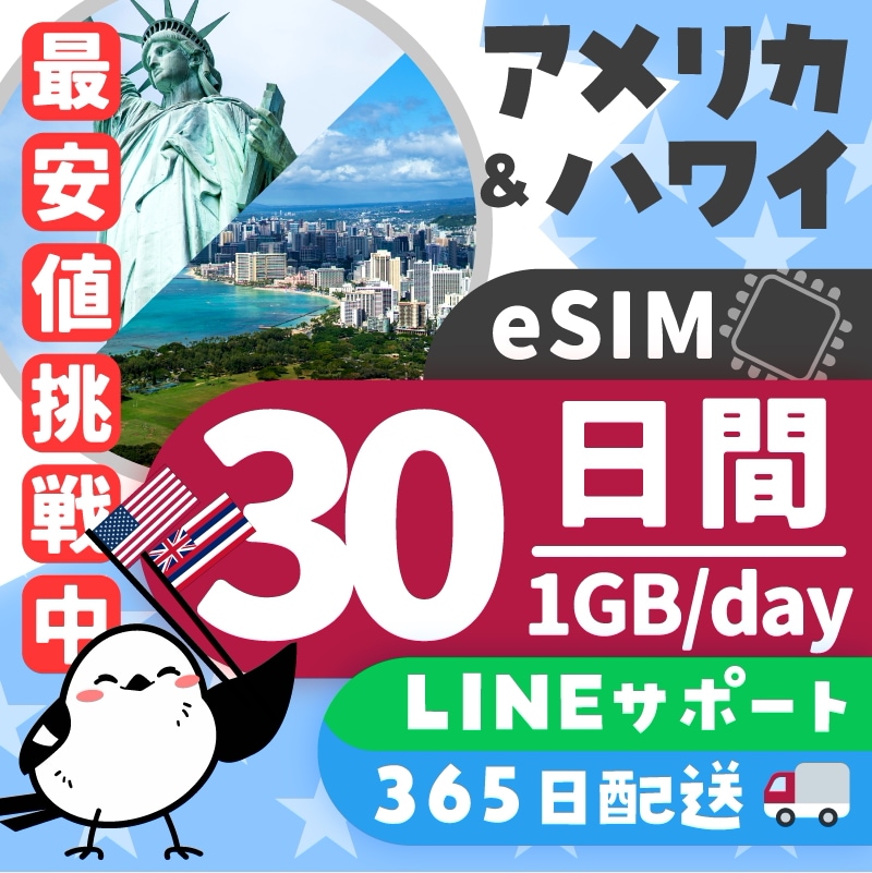 【アメリカ＆ハワイeSIM】簡単設定／使用日数：３０日間／データ容量：1GB（day）／有効期限90日／最短即日発行／データ通信専用